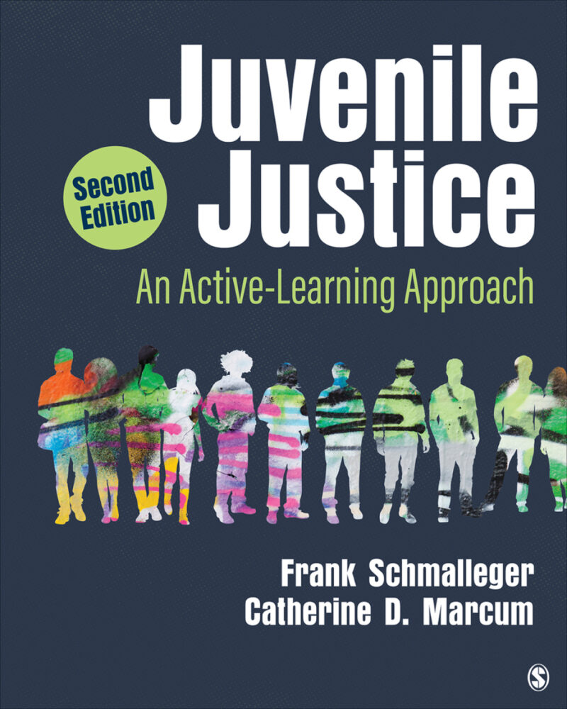 Juvenile Justice 2nd Edition An Active-Learning Approach
