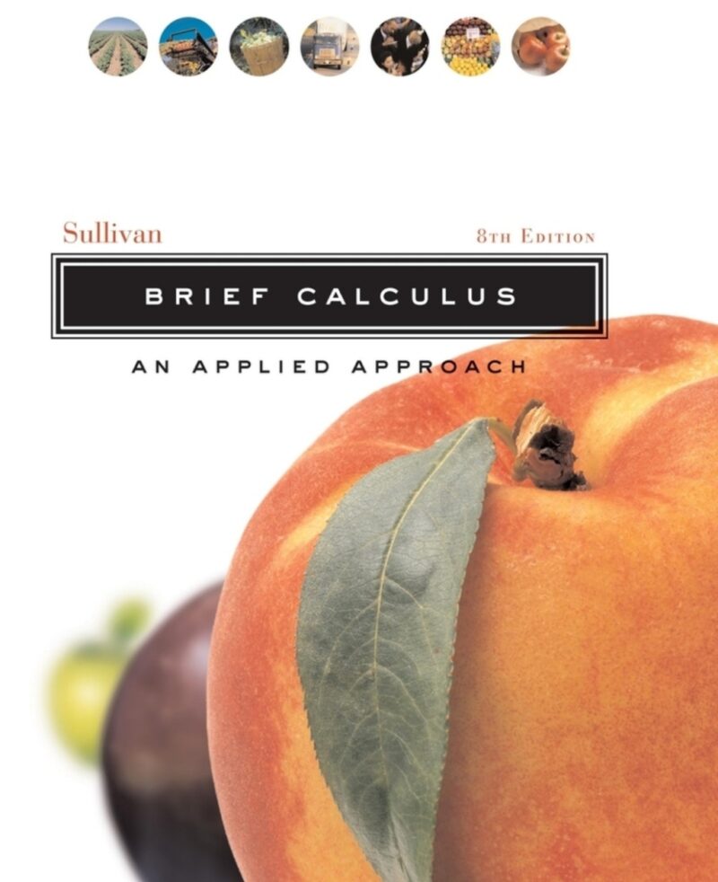 Brief Calculus - An Applied Approach 8th Edition