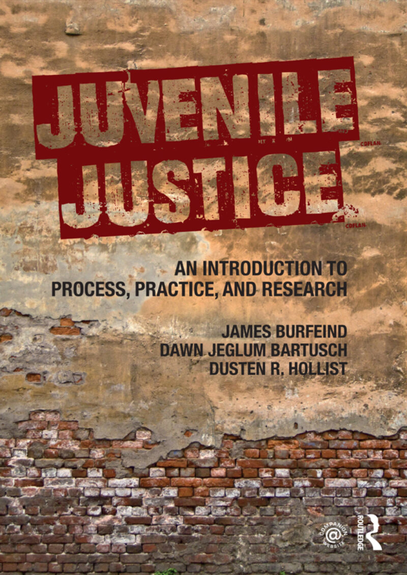 Juvenile Justice 1st Edition An Introduction to Process, Practice, and Research
