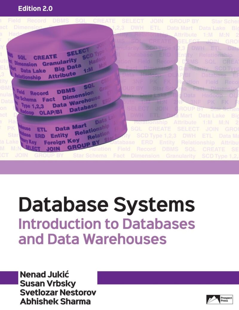 Database Systems - Introduction to Databases and Data Warehouses 2nd Edition